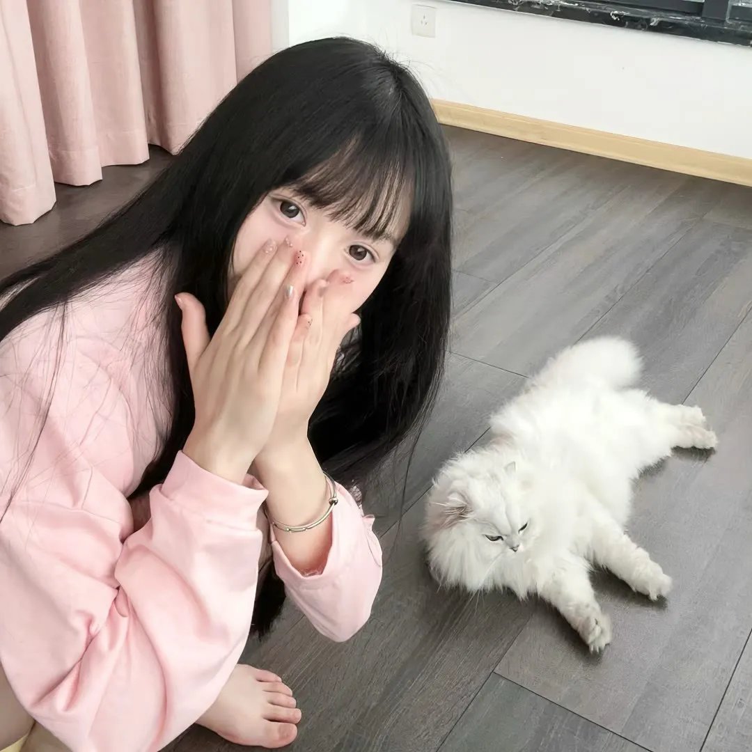 隐秘的莲花