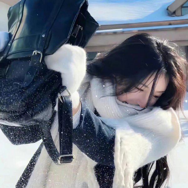 维也纳之舞